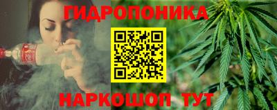 молекула духа Партизанск