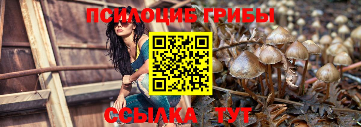 Сегежа  Псилоцибиновые грибы Psilocybine cubensis  Псилоцибиновые грибы прущие грибы  Вход с VPN 