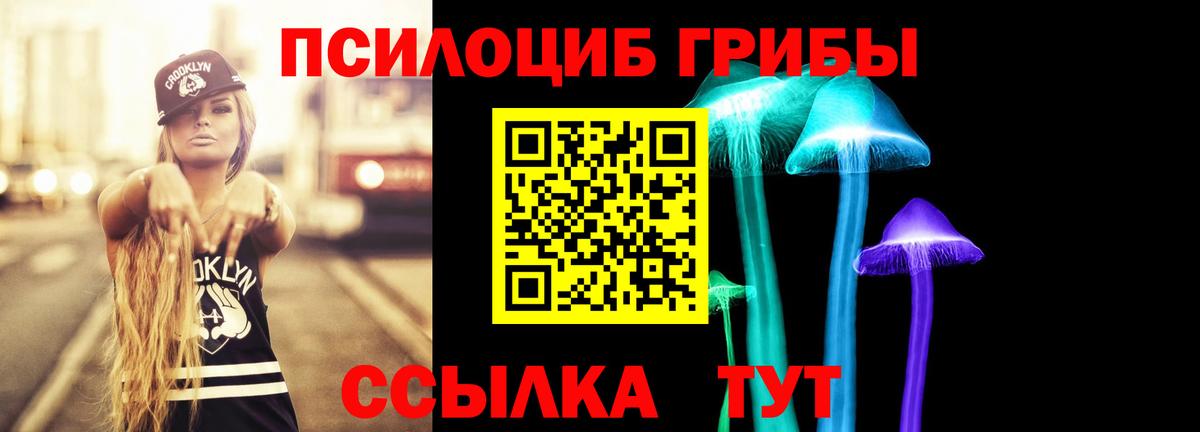Галлюциногенные грибы Cubensis Сегежа